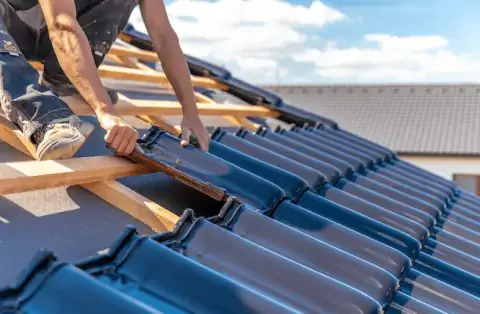 Couverture - Sénéchas