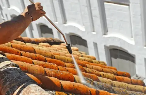 Nettoyage de toitures - Sénéchas